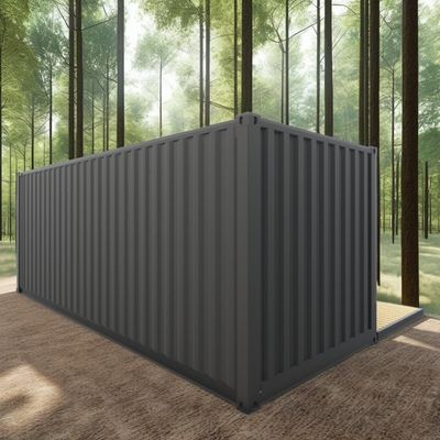 Log 20ft Umweltfreundlich Flat Pack Container House Vorgefertigt Nachhaltiges Bauwerk Stahlkonstruktion Widerstandsfähig Regen Wind Schneeshop