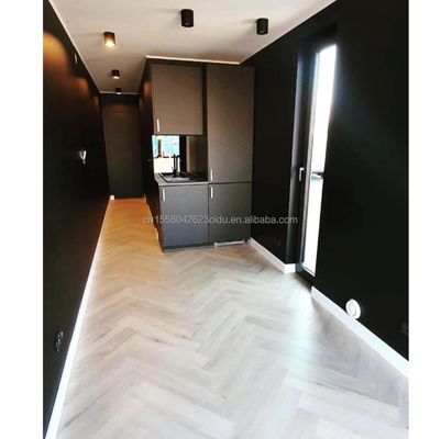 40ft Modularhaus Container